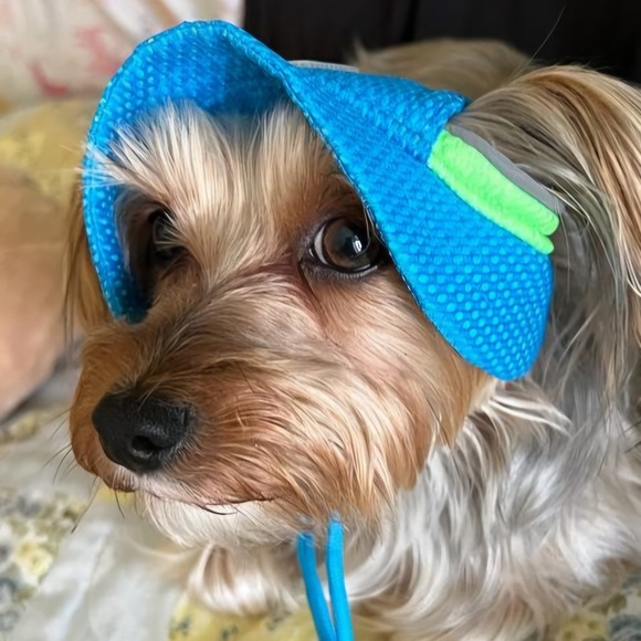 Chill Seeker Cooling Hat for Dog Sz S - Picture 8 of 8